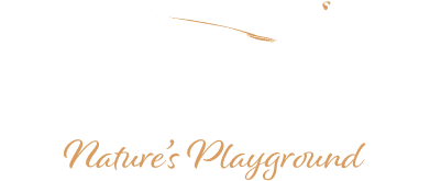 Pheasant Glen Resort